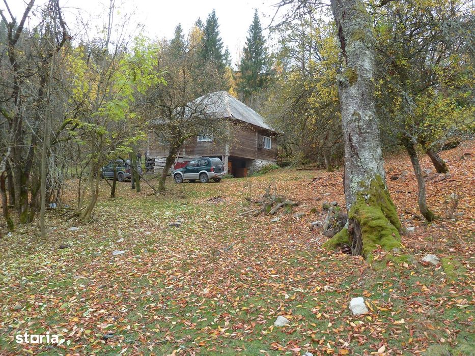 Casă + 4,4 ha (arabil, pășune, pădure), Scărișoara, Alba