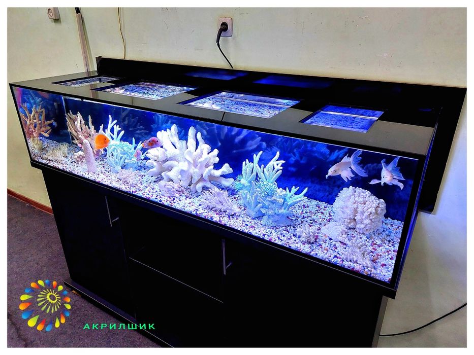 Аквариум  из акрила
