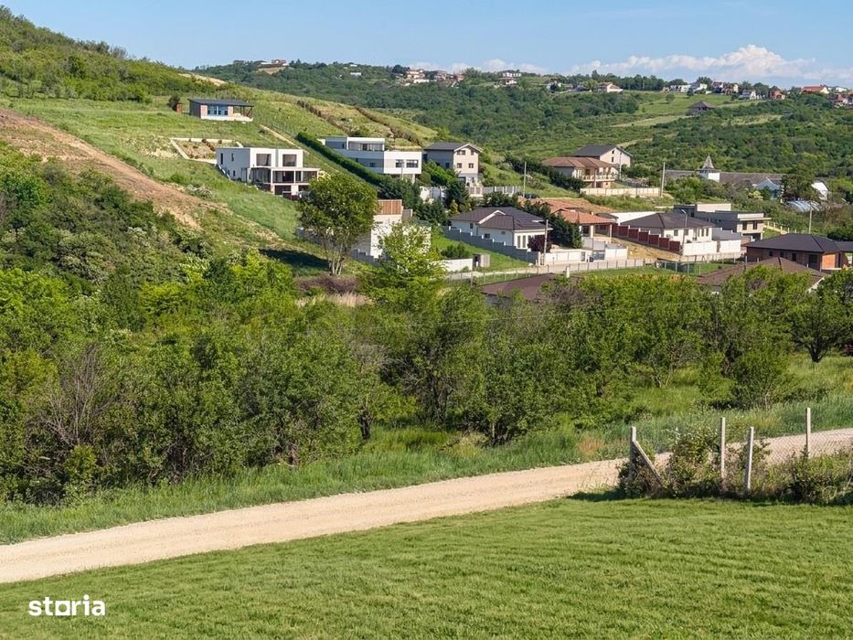 RECO Teren 1000 mp cu dublu front stradal in Saldabagiu de Munte