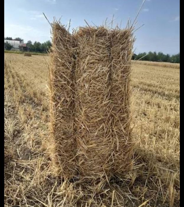 Vând baloți de paie