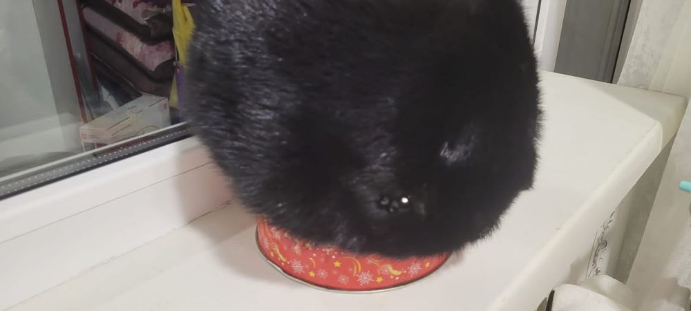 Продам норковый берет