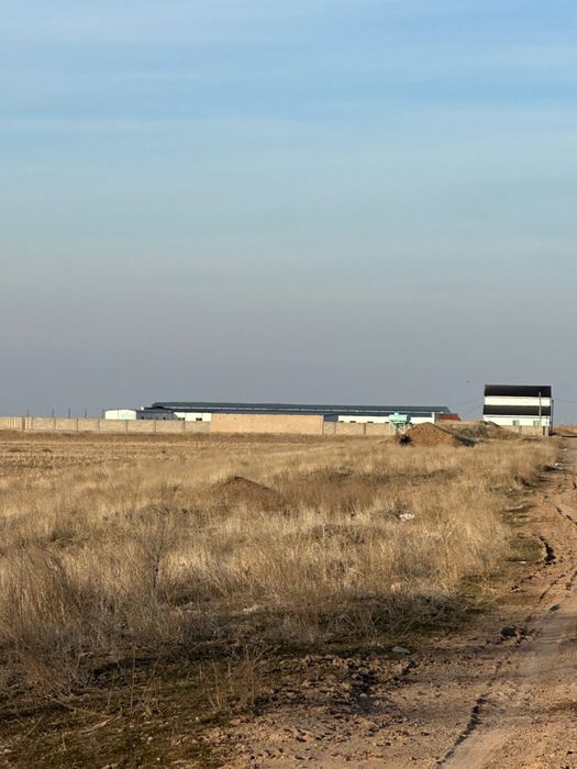 Фазенда в жамбыльской области