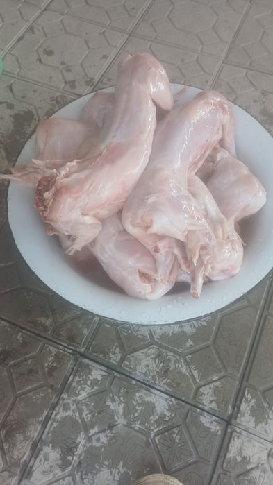 Мясо кролика домашнее