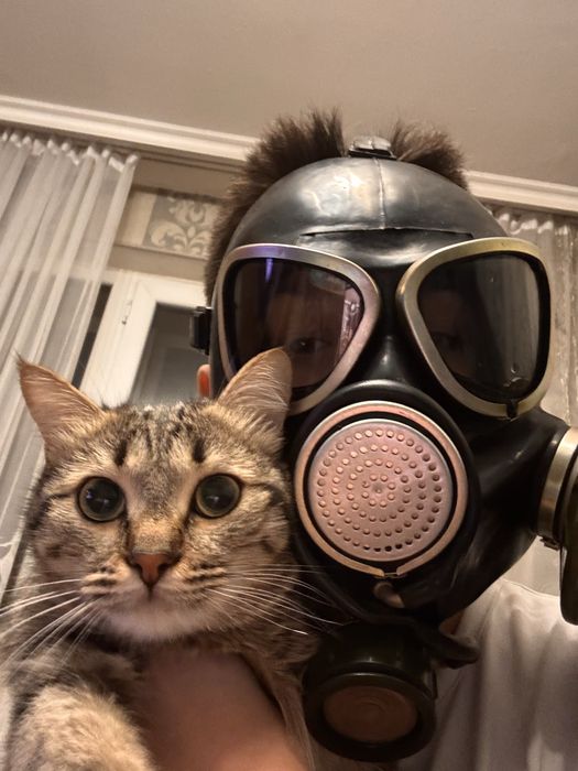 продам противогаз пбф хомяк