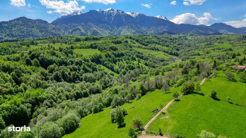 Teren extravilan 20.000 mp, zona Bran, vedere spre Munții Bucegi