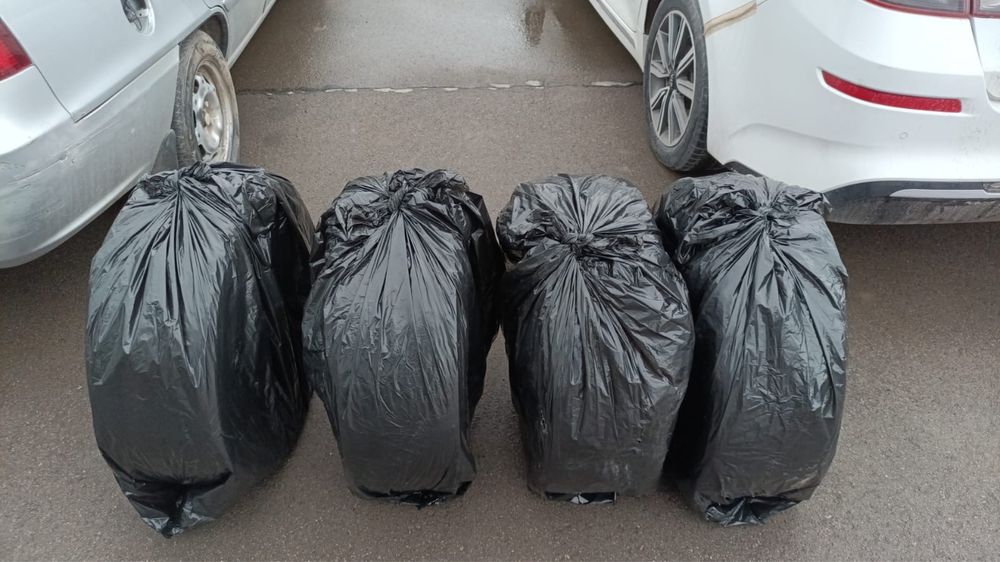 Шины. Новый месяц не ездил