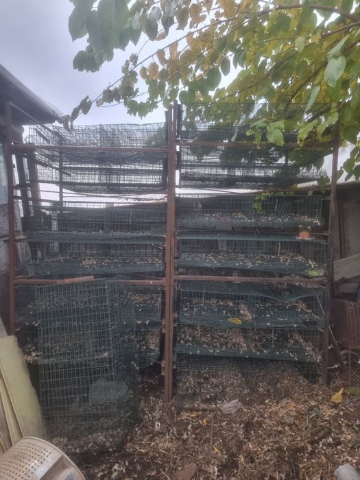 Custi pentru prepelite