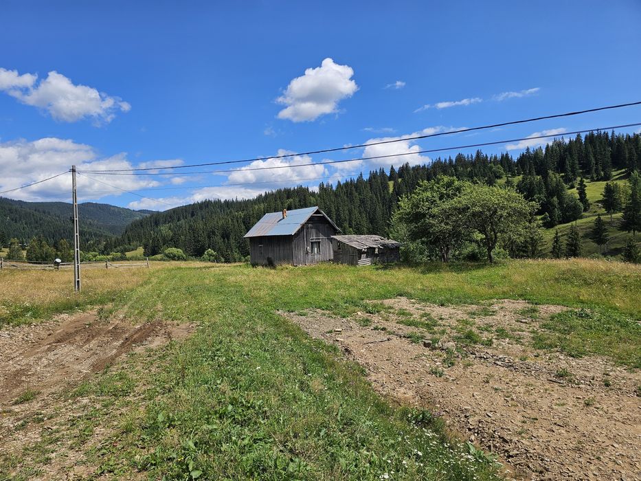 Teren de vanzare extravilan in Bucovina zona Breaza