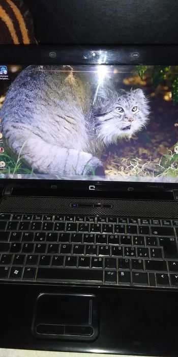 Laptop HP Compaq 610- pentru piese sau colectie