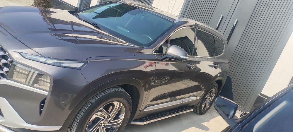 Hyundai Santafe 12