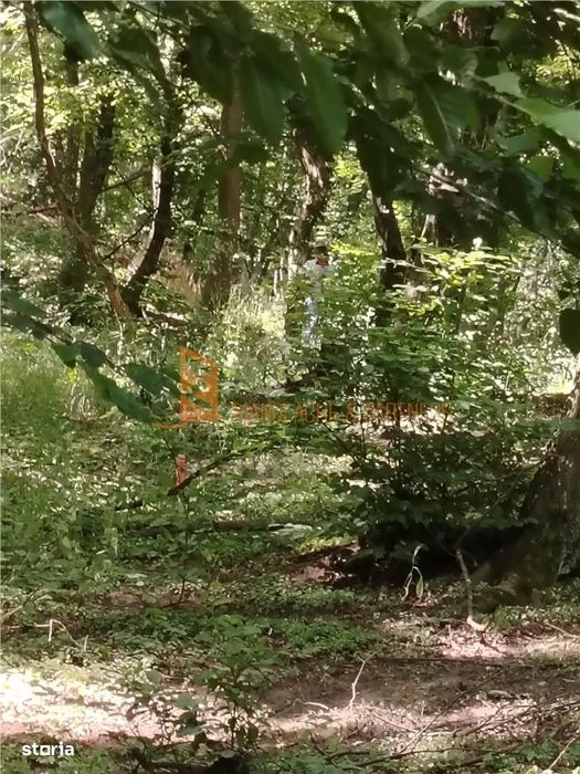 Teren intravilan zona Monteoru