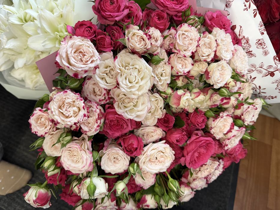 Продам цветы срочно