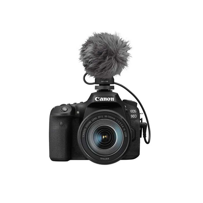 Microfon aparat foto Rode si Canon