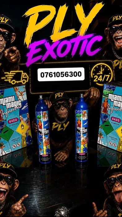 Exoticcc miami magic