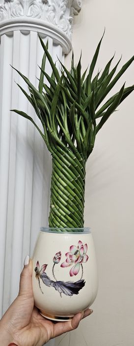 Бамбук счастья, "Башня счастья" высота 55см.