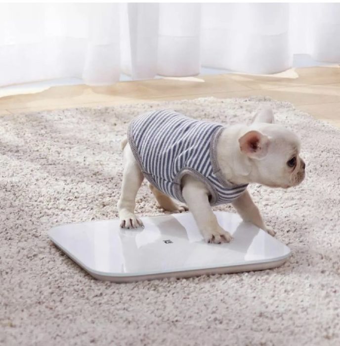 Электронные весы XIAOMI