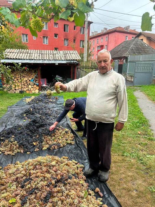 Struguri cu trasport gratuit la domicilul dumneavoastra sunati la nr