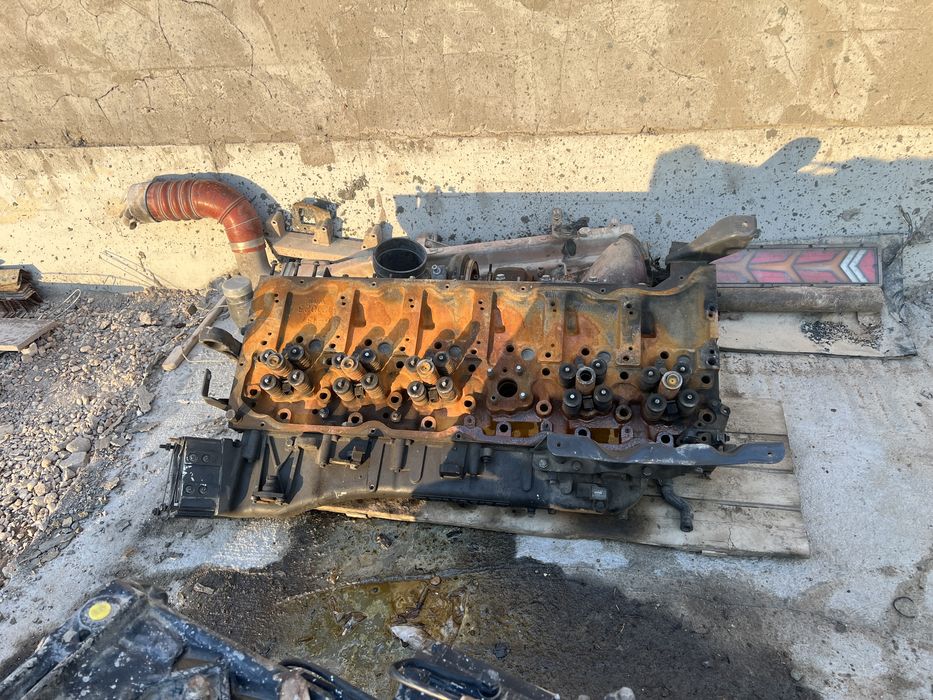 Reno Premium DXI 440