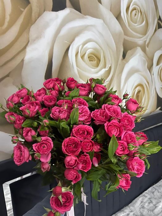 Свежие кустарные розы срочно