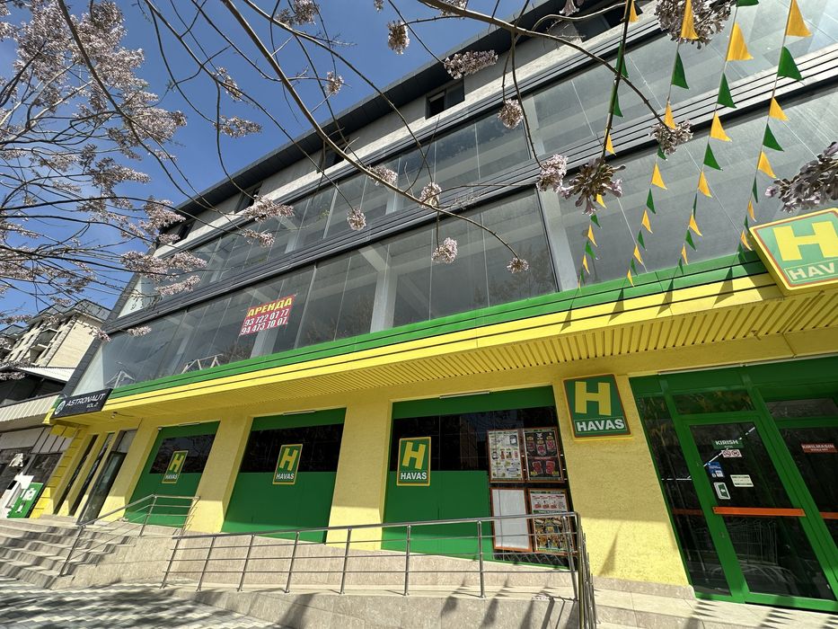 Сергили Туманидан 2000 м2 бино Ижарага берилади.