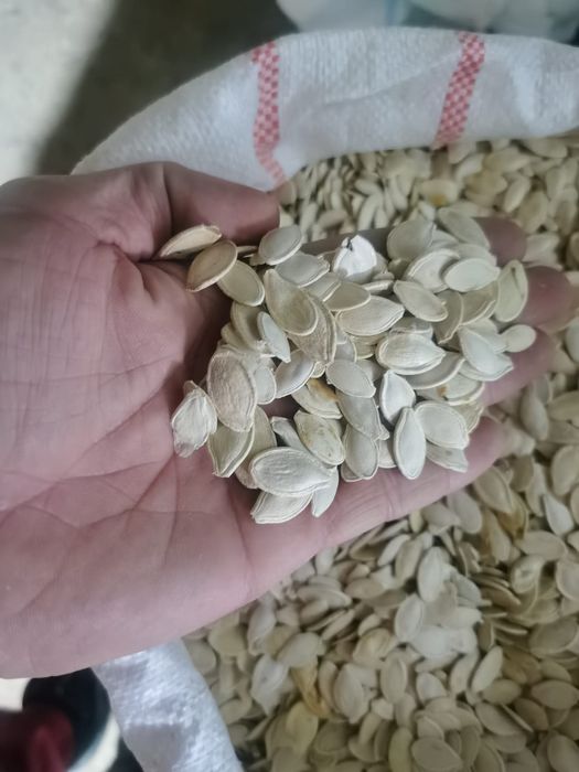 Vând miez jumătăți, mixt,semințe de dovleac,fasole