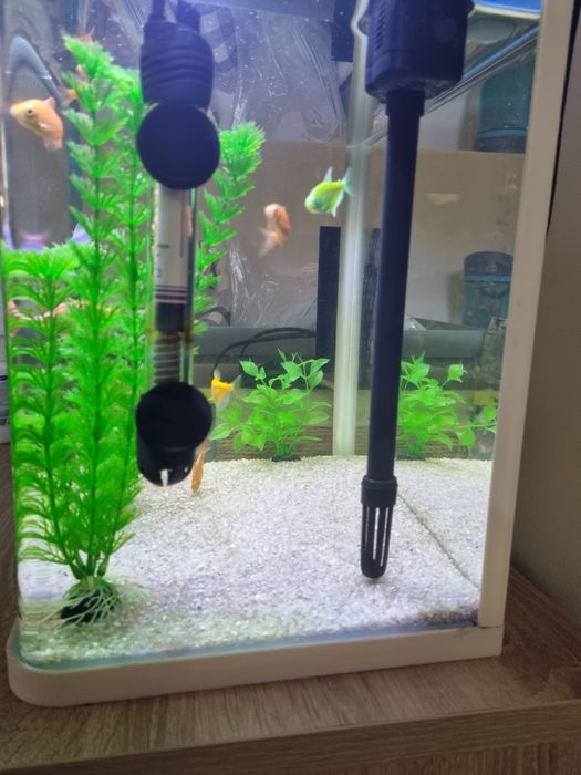 Аквариум с рибки