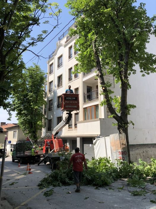 Градински услуги, рязане на дървета и косене на трева