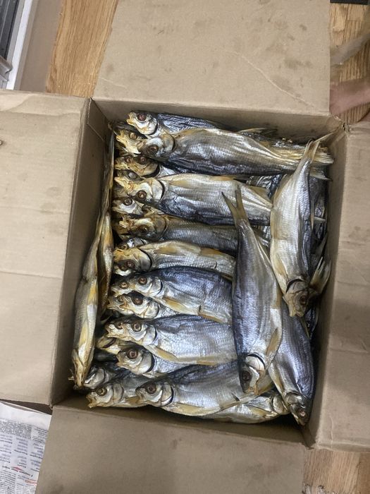 Рыба вобла Атырау