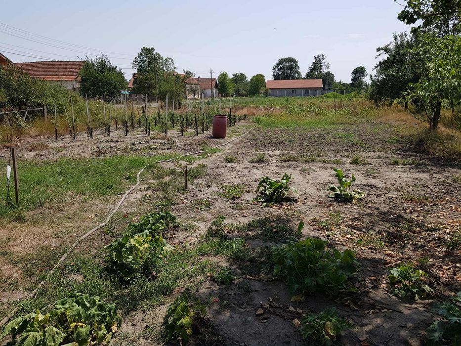 Casă de vânzare în Otvești – aproape de Timișoara