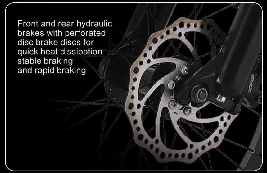 Electric Bike 1500W Rear Motor  20" Fat Tire Lithium Battery 48V 41AH