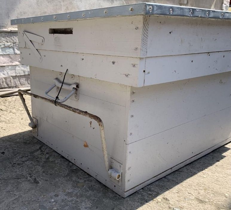 Vand stupi pentru albine -  calitate superioara