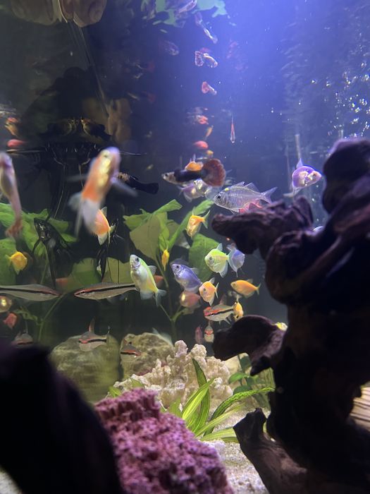 Продам аквариум на 130 литров под ключ