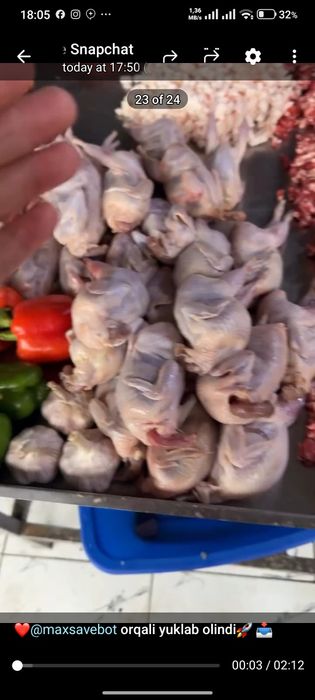 Bedana goʻsht, bedana tuxum