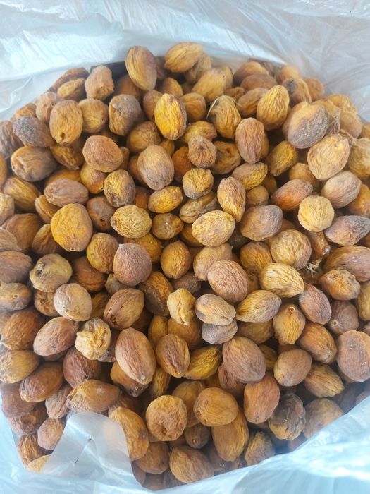 Коки ориклар хар хил