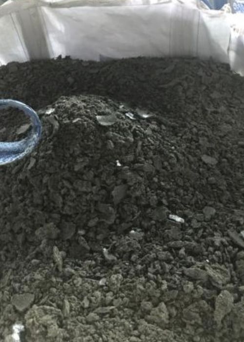 Srot floare soarelui