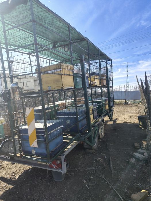 Vând remorca și modul apicol