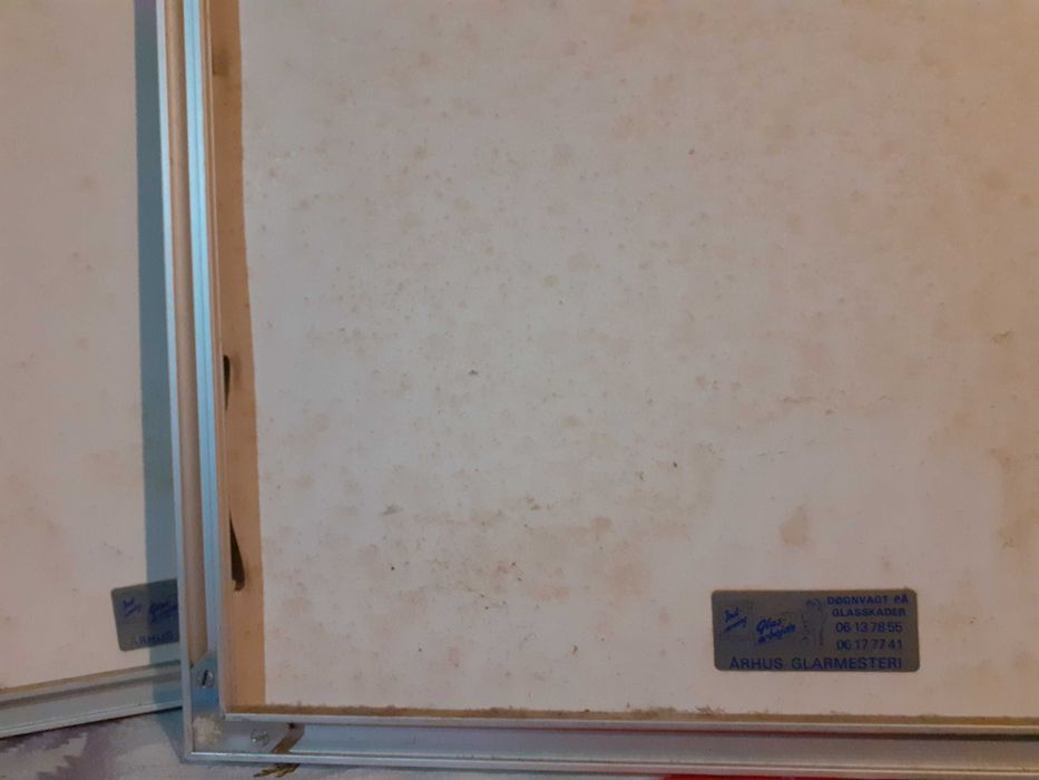 Lot doua gravuri valoroase,serie limitata ,ani 90