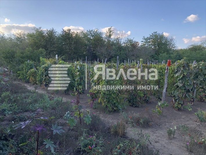 Продава се Къща в с. Видно, Област Добрич - 150 кв.м за 400 €/кв.м - Снимка #1