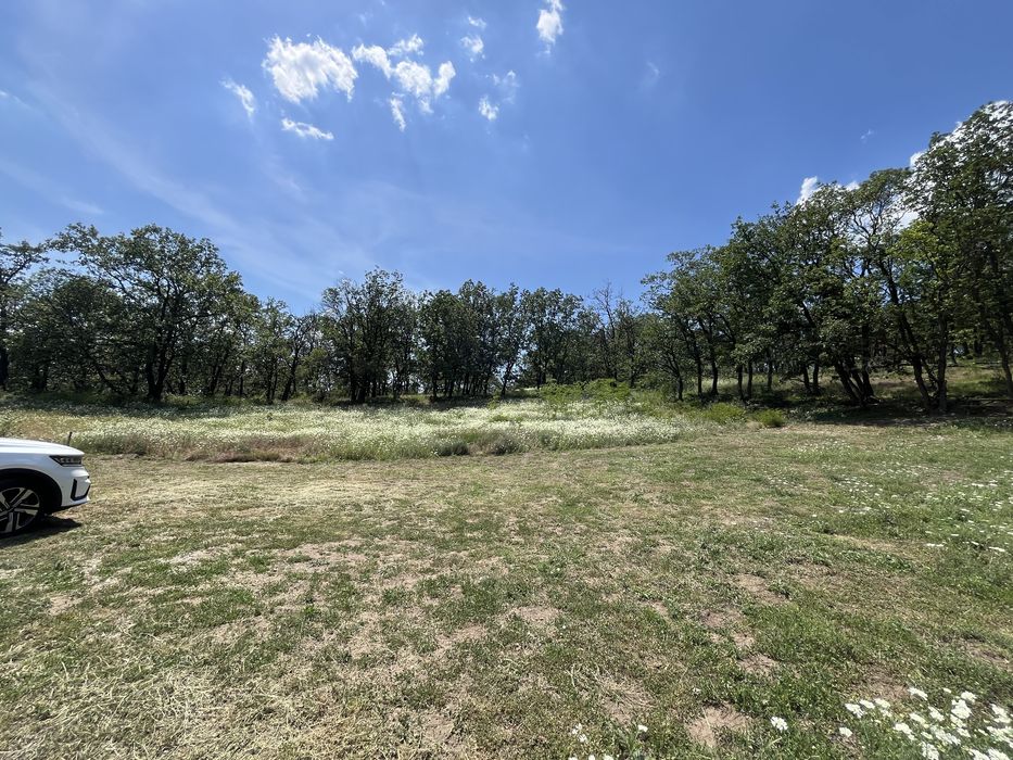 Podari sat vacanta SUPERB si SCUMP