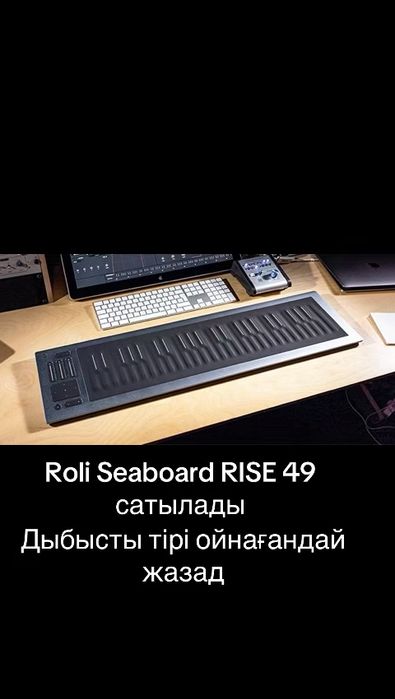 Roli Seabord Rise 49 миди клавиатура