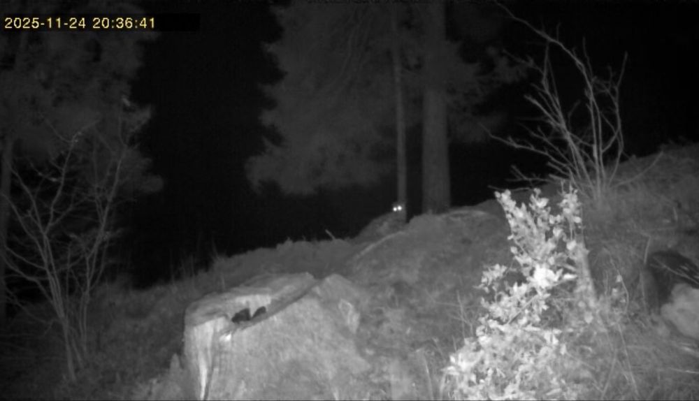 Cameră de vânătoare 4G + PANOU