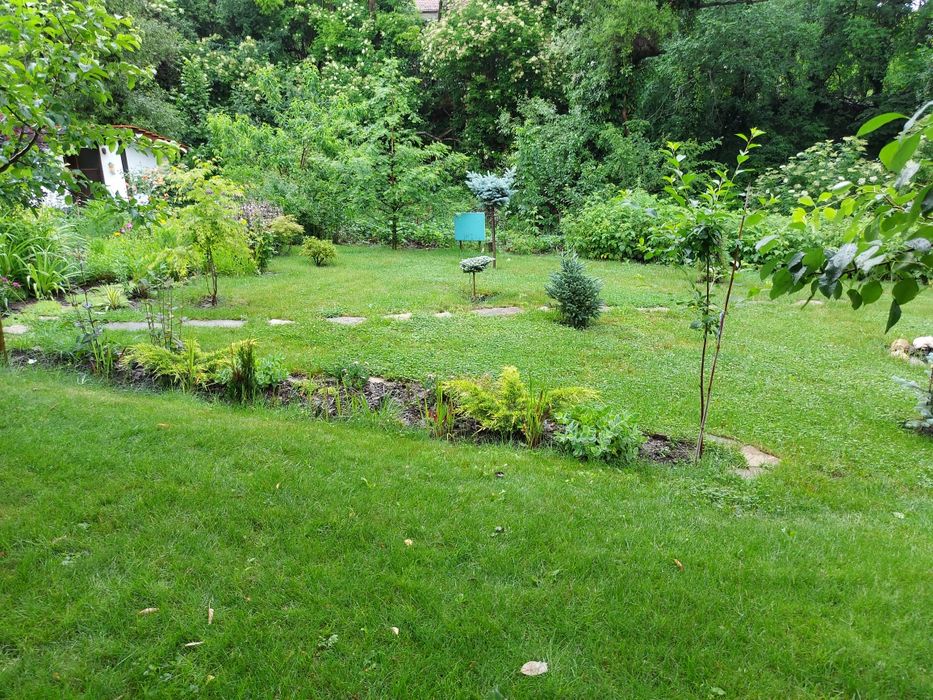 Резитба на овощни дръвчета и професионално озеленяване