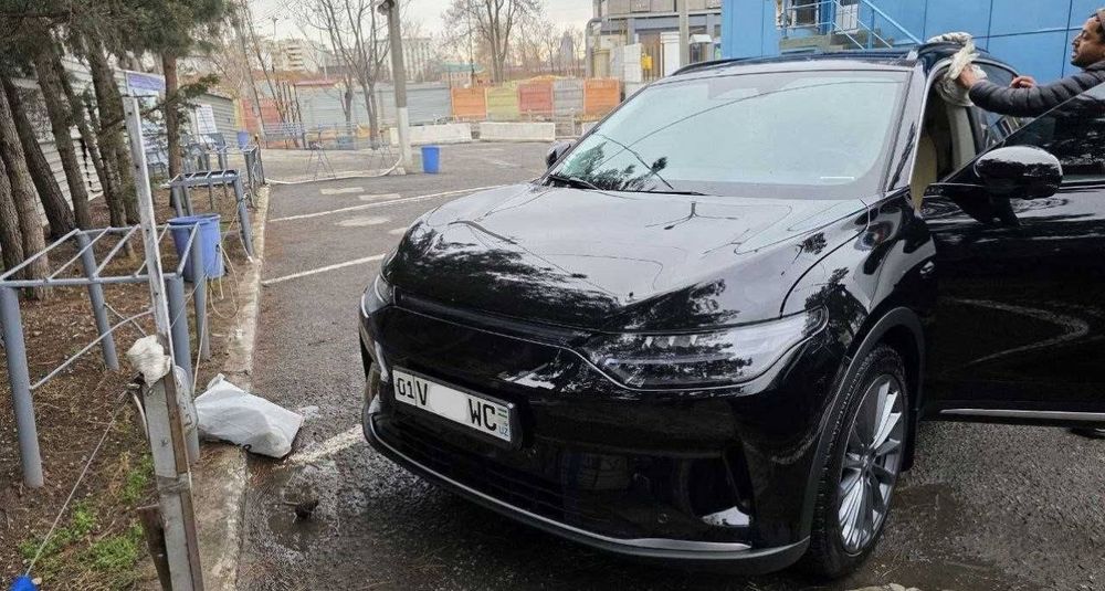 Leapmotor  C 11  nasiya