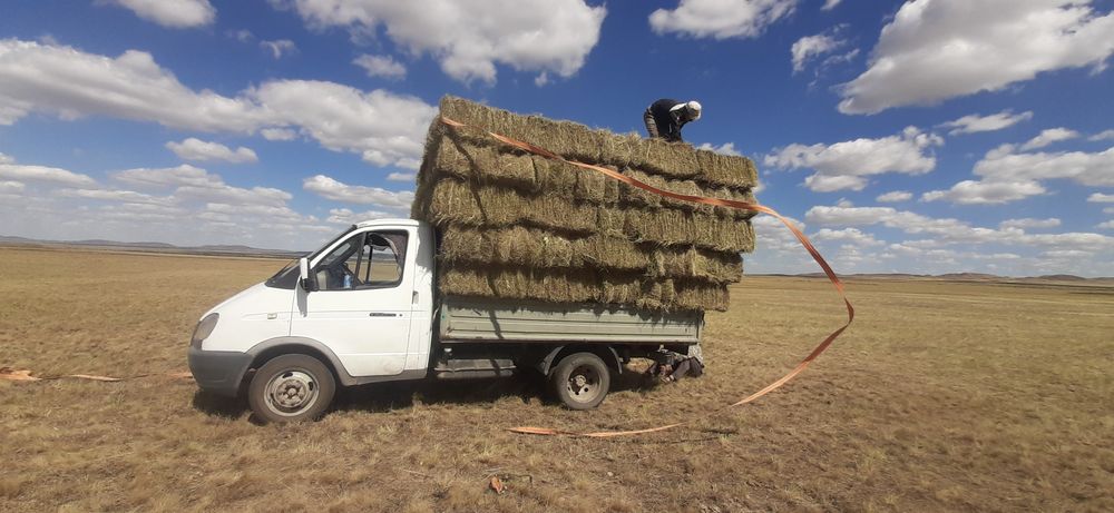 Сено с доставкои