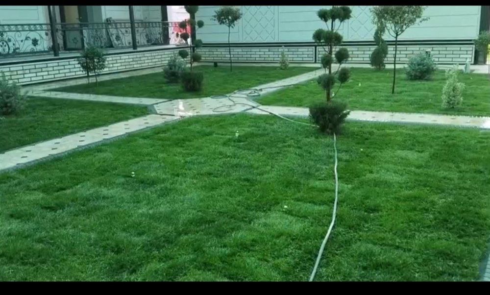 Газон, палиф, ланшафт, дорилаш