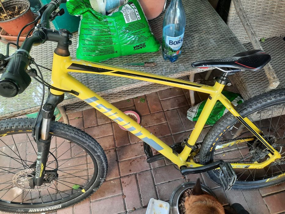 Vând biciclete angro
