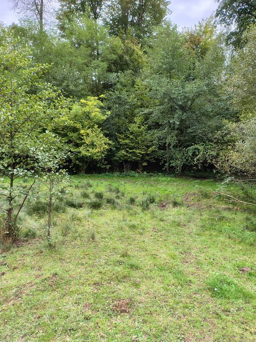 Casă cu teren 2 hectare intravilan