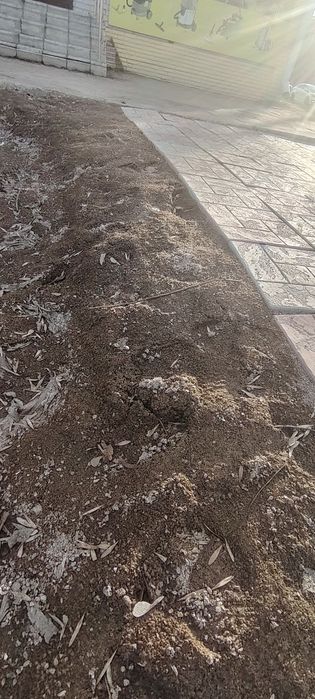 Продам Брусчатку