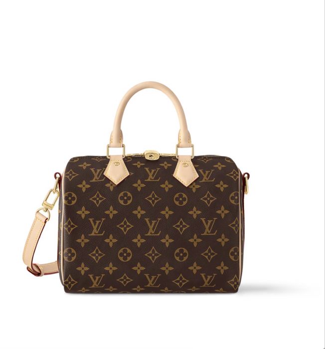 Сумка Louis Vuitton LV Speedy 25