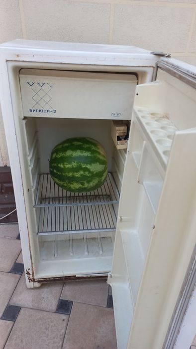 Холодильник Бирюса